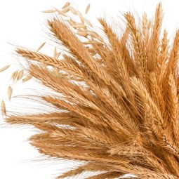 Whisky Blend Supérieur 70 cl